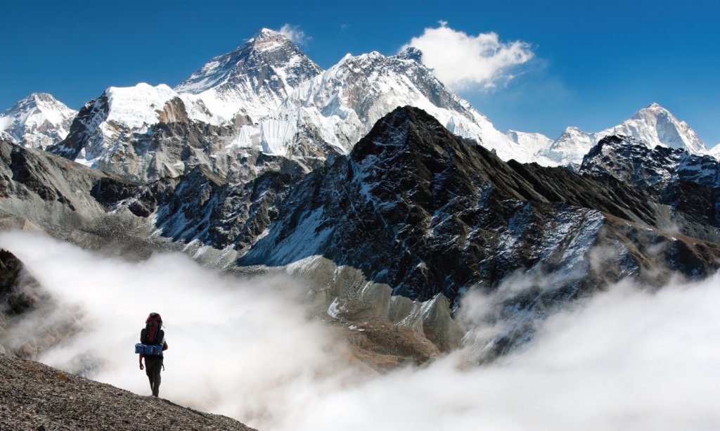 March 2019 Quarterly