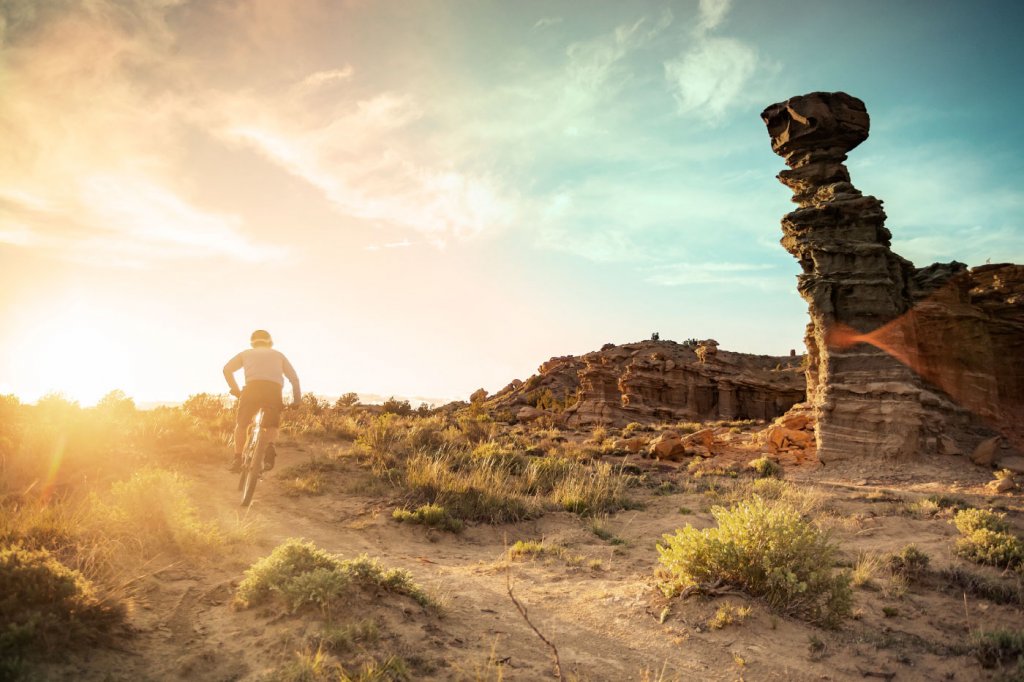 November 2018 Mailer